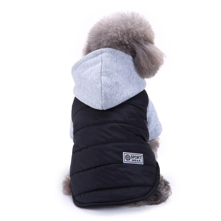 Teddy Winter Clothing