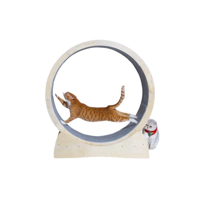 Treadmill Roller Cat Toy