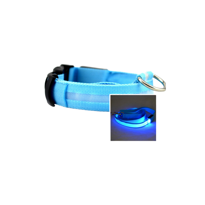 LED Luminous Collar