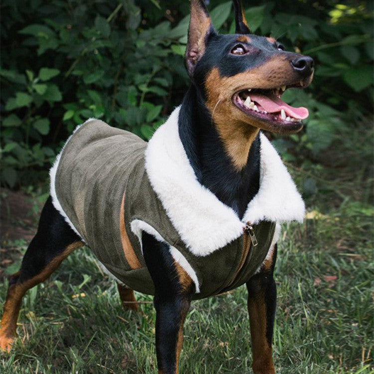 Pet Brown Suede Jacket