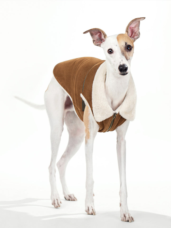 Pet Brown Suede Jacket